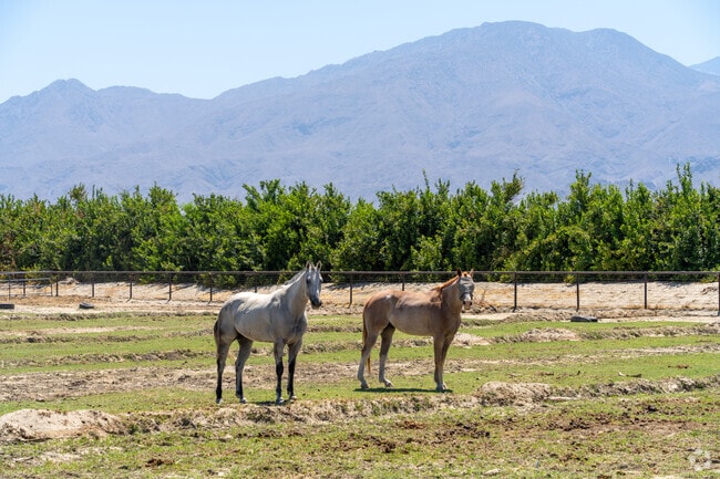 Horses compliment the mountain views in Vista Santa Rosa.
