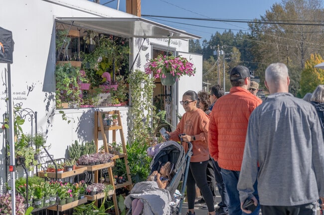 Get flowers, decor, and more at Lake Stevens Harvest Market every October near Glenwood.
