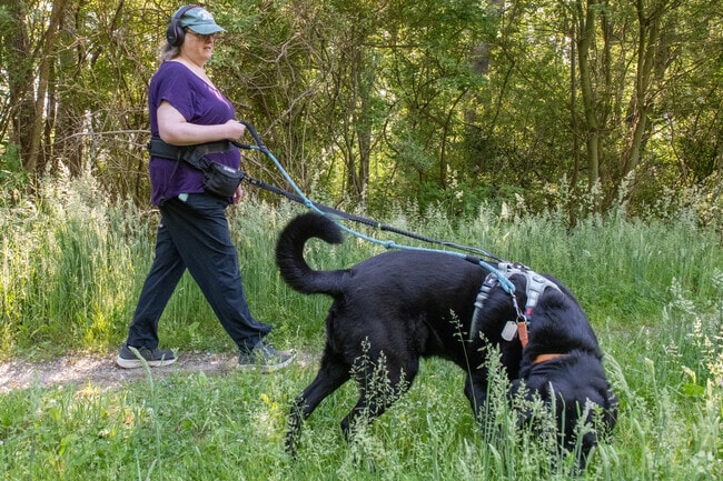 Veteran's Memorial Park in the Nayatt neighborhood is a favorite spot to walk the dog.