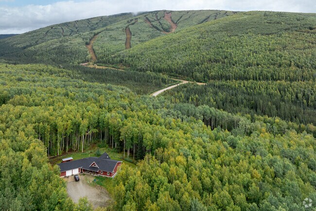 Homes sit hidden amongst the trees near Moose Mountain Ski and Snowboard Resort in Goldstream.