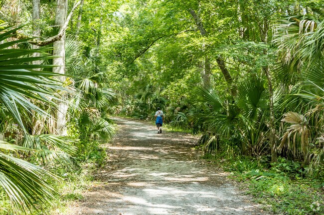 Beautifil nature trails in Spring Hammock Preserve near Highlands.