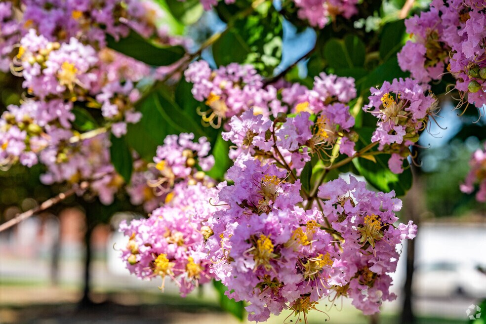 500030_Iberville_VoUpdate_073025_JW_V2