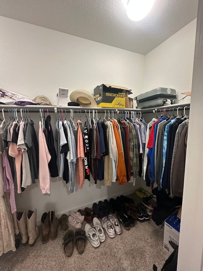 248 Tequilana Pass, Leander, TX 78641 - photo 4