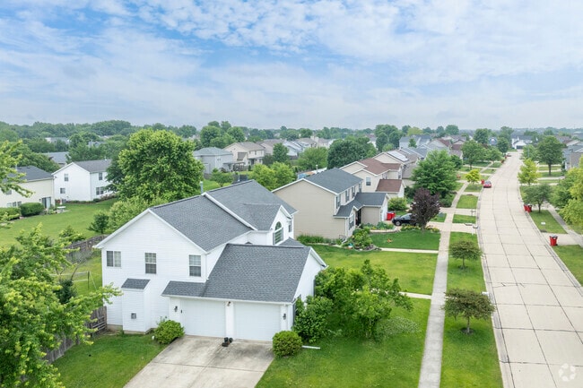 Residential streets of Savoy can be characterized by paved sidewalks and shady trees.