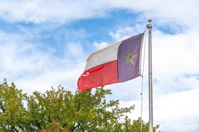 The Texas flag proudly waves over the South Denton neighborhood.