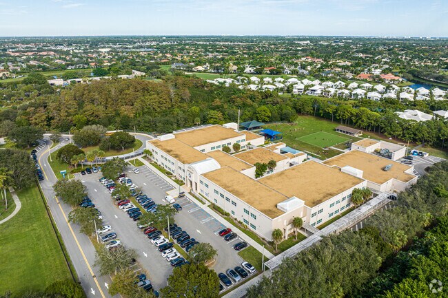 Majestic Orchards Witness Children's Ascent, Flourishing in Wisdom's Tender Care.