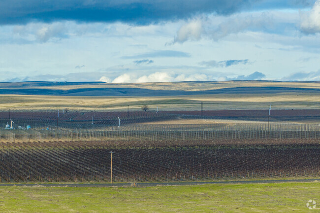 Take in incredible views of Washington Wine Country while driving around Grandview.