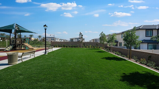 Renaissance Amenity Park