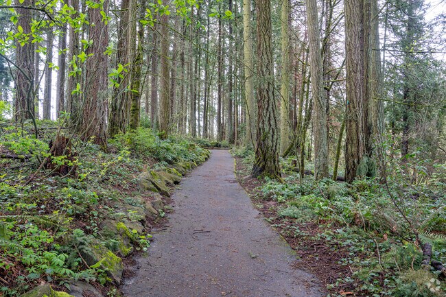 Take A Walk Through The Serene Trails at Noble Woods Nature Park in Hillsboro Oregon.