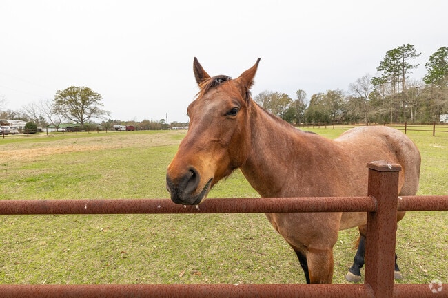 Beulah maintains an active equestrian community with local riding trails.
