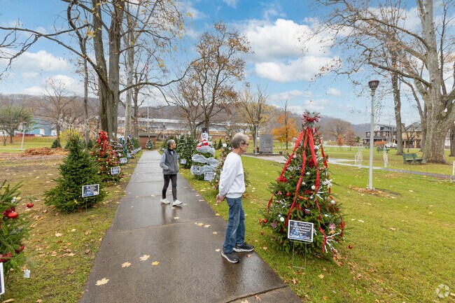 Burrell Township enjoys the Christmas season at Ford City Memorial Park.