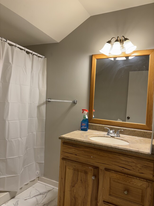 Updated Bathroom