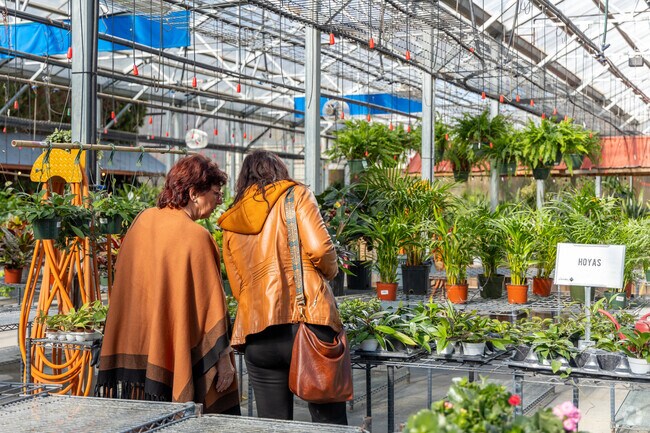 Lanoha Nurseries is a top destination for Valley locals seeking plants and landscaping inspiration.