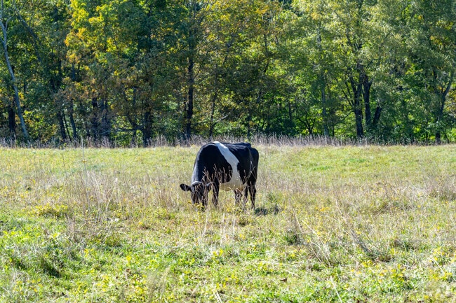 Residents enjoy scenic views and a close-knit community in Bethlehem’s neighborhoods.