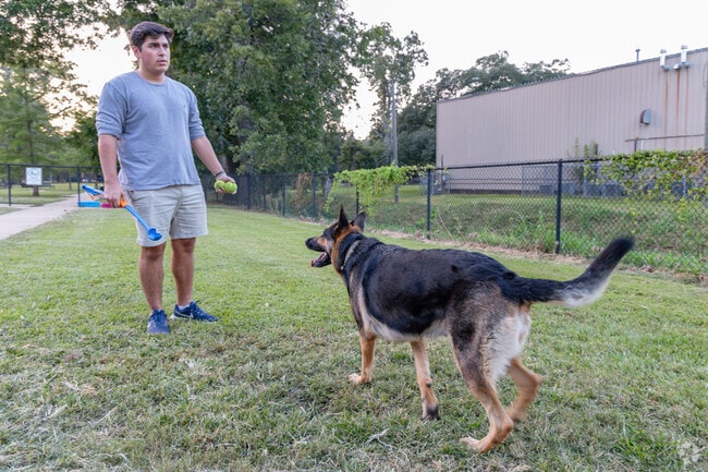 Martin Park residents with dogs can head to Hynson Dog Park for some fun.