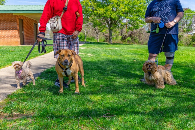Belmar Park in Frankford offers quiet trails for dog walking.