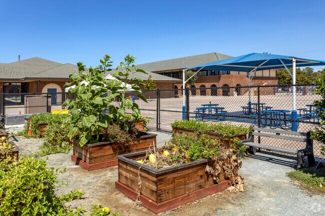 Students can learn from the garden at Coronado Village Elementary School.