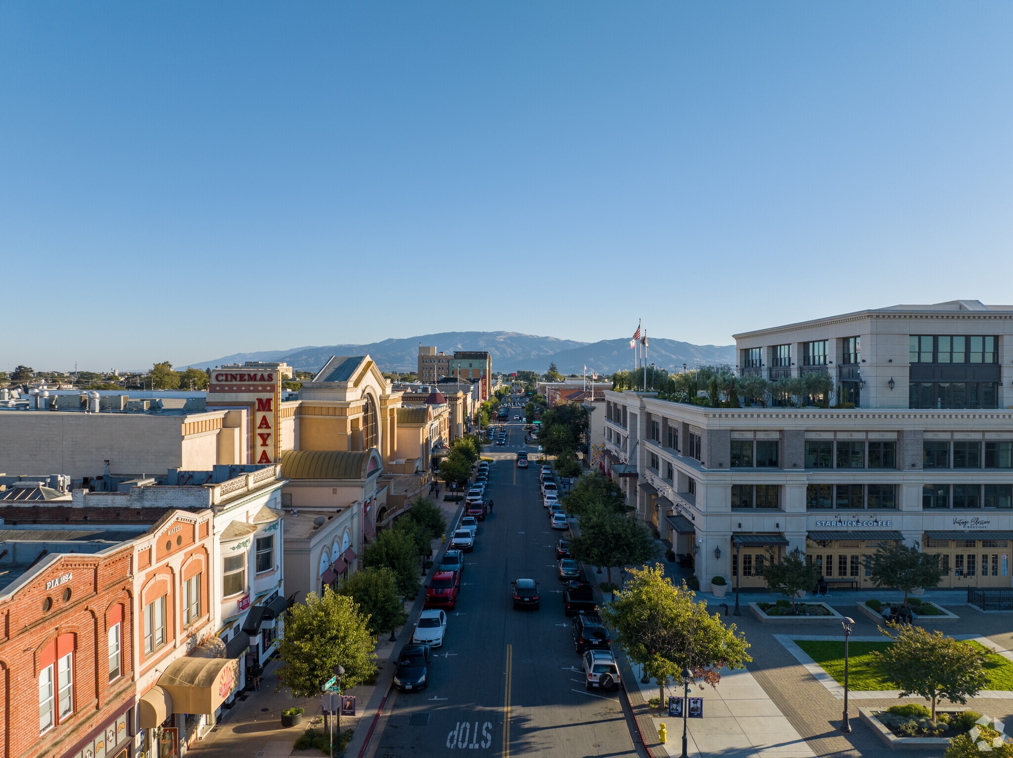 Salinas California diminished value appraisal and total loss appraisal