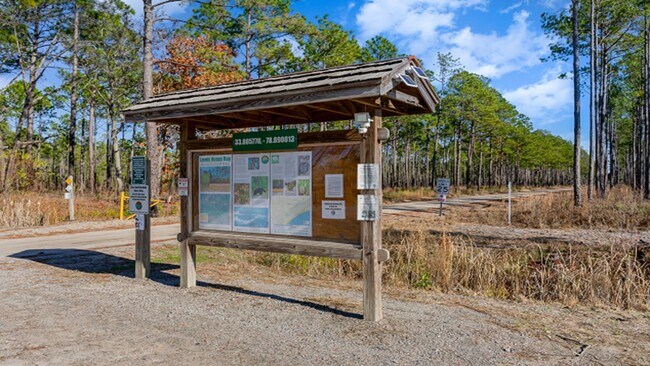 6023 Forest Dell Ct, Myrtle Beach, SC 29579 - photo 6