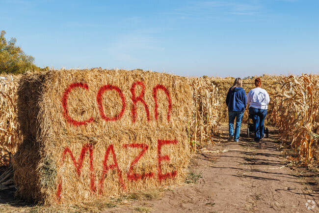Historic Cheyenne and its surrounding neighborhoods host a number of fun fall events.