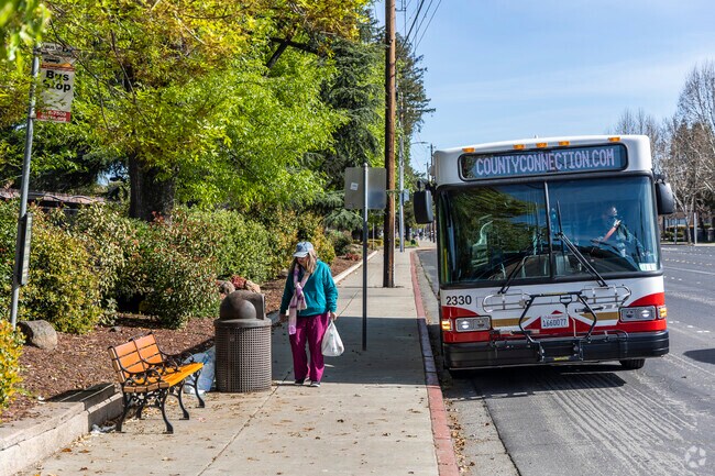 The County Connection Bus Line serves Tree Haven neighborhood.