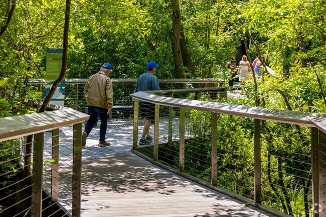 Wooden walkways wind through Avalon Park & Preserve in Head of the Harbor.