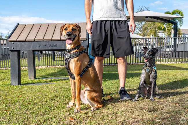 Dog parks are common at the gated communities within the Omni neighborhood.