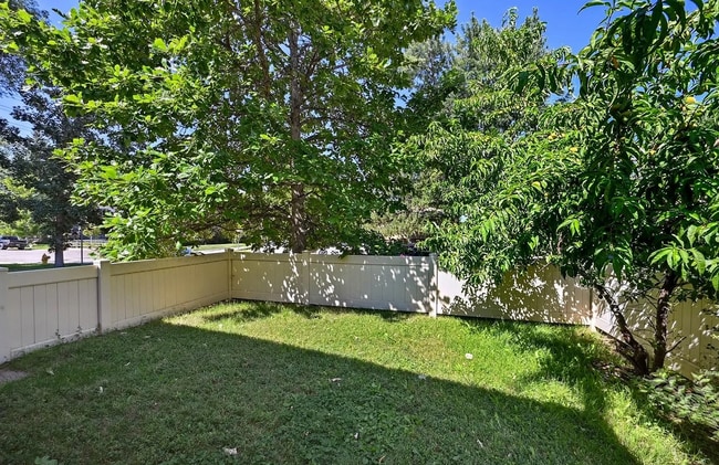 Fenced Yard