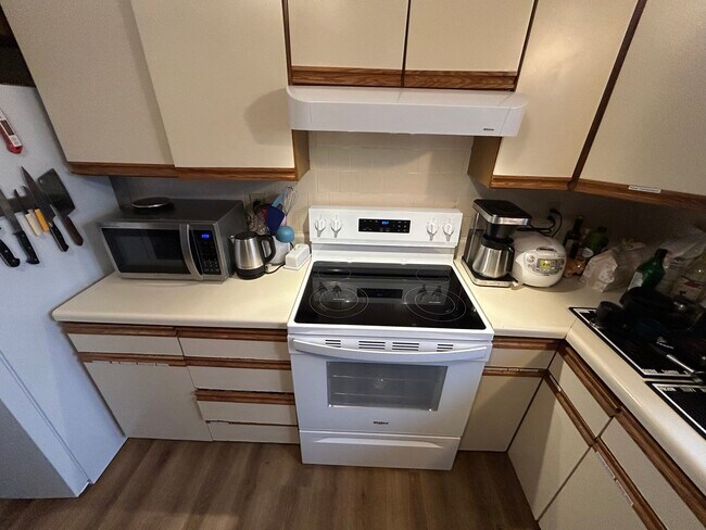 117 Honness Ln unit A, Ithaca, NY 14850 - photo 4