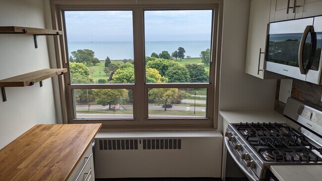 3950 N Lake Shore Dr unit 1130, Chicago, IL 60613 - photo 3