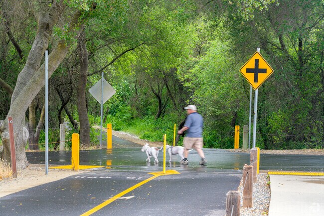 A man walks his dogs down to the American River at Sunrise Recreation Area.