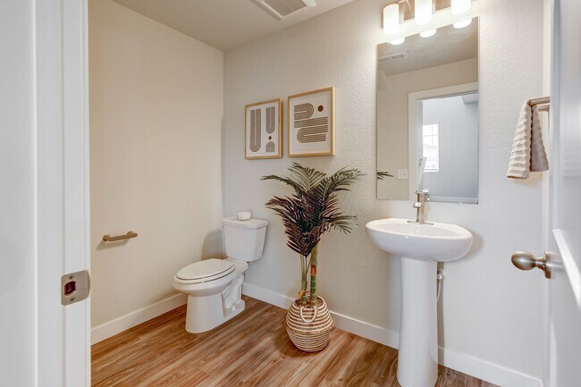 Canvas at Castle Rock, Castle Rock, CO 80104 - photo 4