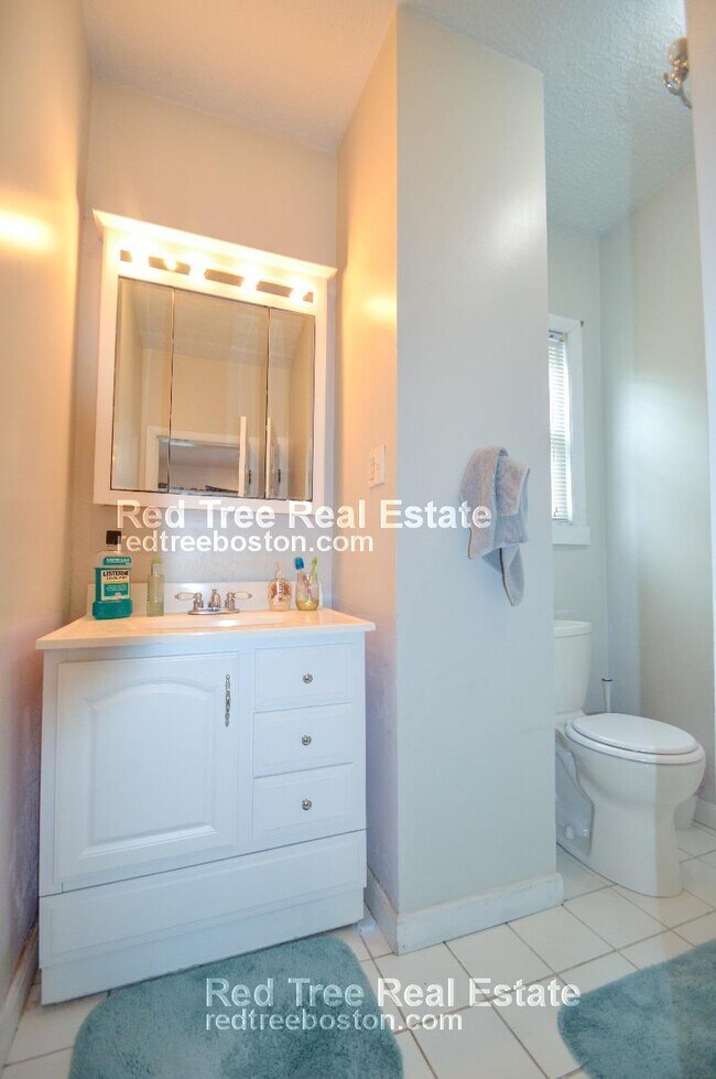 201 Hillside St, Roxbury Crossing, MA 02120 - photo 7