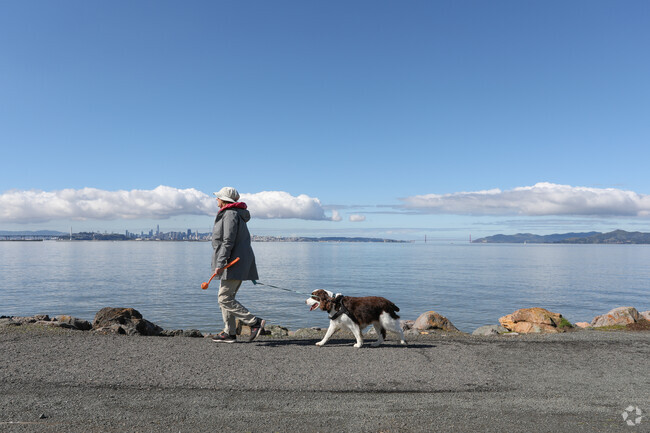 Dogs and their owners love the views in Fourth Street-Berkeley Marina.