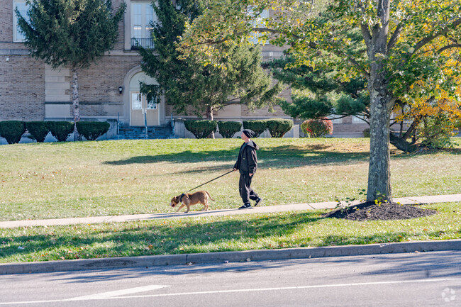 Millvale residents enjoy walking their dogs around the neighborhood.