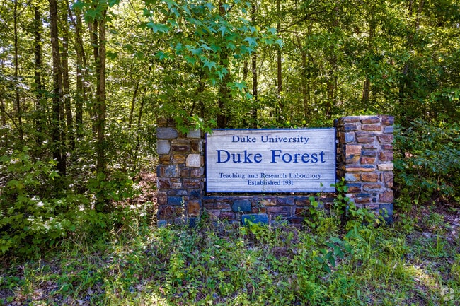 Duke Forest is a forest managed by Duke University for research,