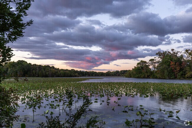 Azalea Acres Neighborhood Park has hiking trails through the woods along Lake Whitehurst.
