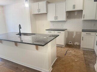 522 Griffon Dr, Chapin, SC 29036