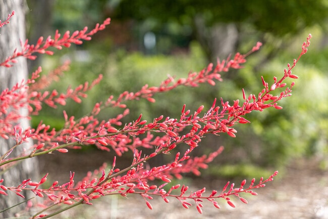 Parks and recreational facilities in Farmers Branch cater to outdoor enthusiasts.