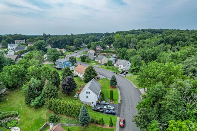 Neighborhood overview from Sylvanus Wood Ln in Cummingsville.