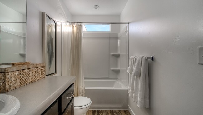Shared Bathroom