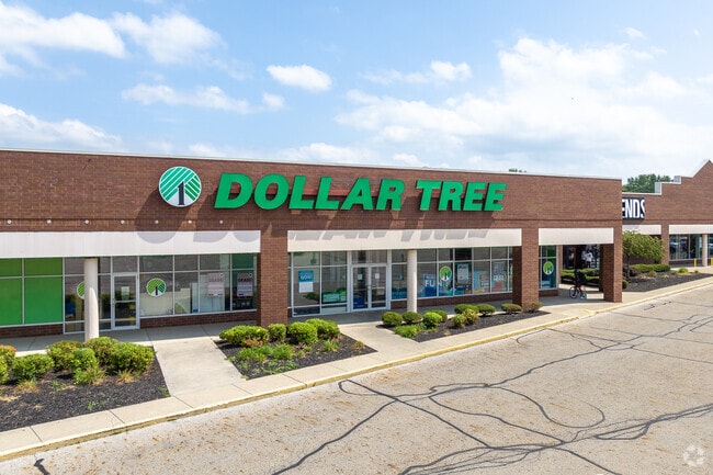 The residents of Independence Village enjoy shopping at Dollar Tree store on Brice Road.