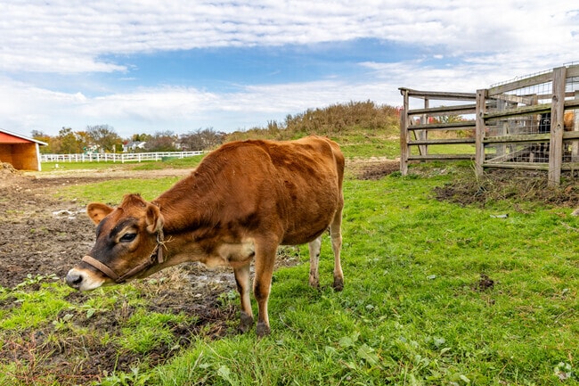 Real Life Day Camp & Farm has been owned and operated by the Fraser family since 1948.