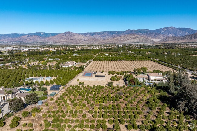 South Redlands offers vast landscapes and open spaces where orange groves thrive.