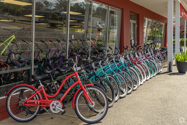 Colorful bikes are found at the Brielle Cyclery located on Union Ave. in Brielle.