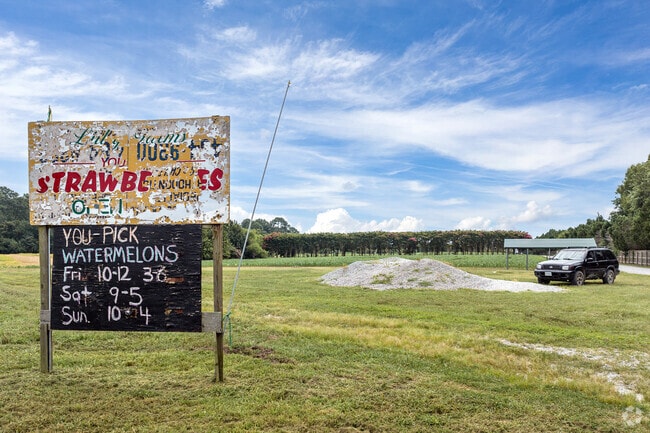 Bring the family strawberry picking at Lilley Farms in the Western Branch North neighborhood.