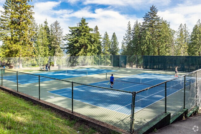 Sam Benn park in Aberdeen, WA has two tennis courts against green pine backdrop.