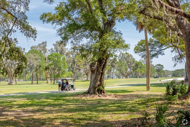 An exciting round of golf is just a couple of blocks away from Downtown Clearwater.