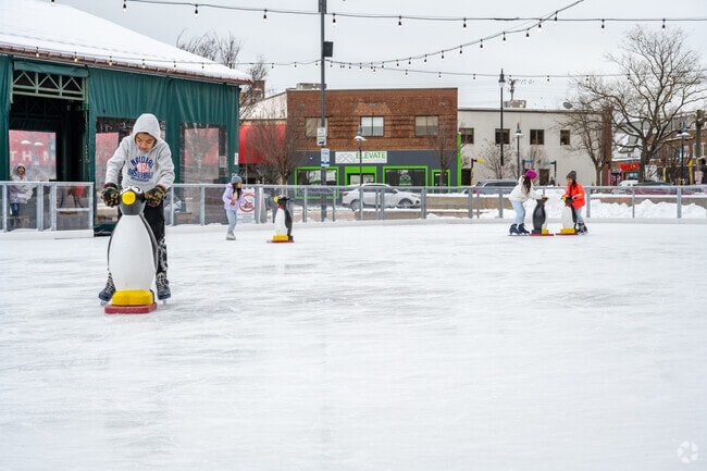 Want to go ice skating? Ferndale has great spots for this.
