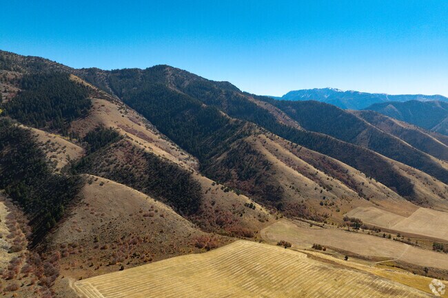 Rolling foothills of northern Utah, where golden fields meet rugged, forested mountains under a clear autumn sky.